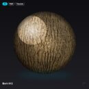 Bark 012