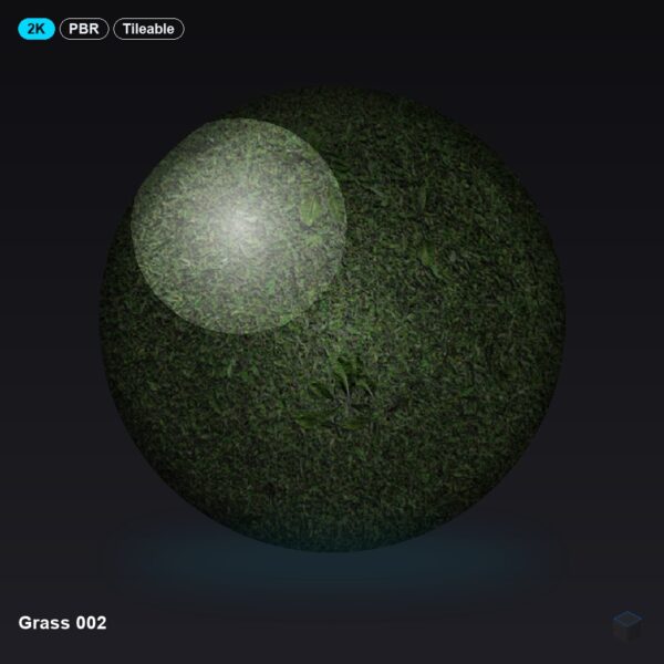 Grass 002