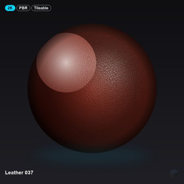 Leather 037