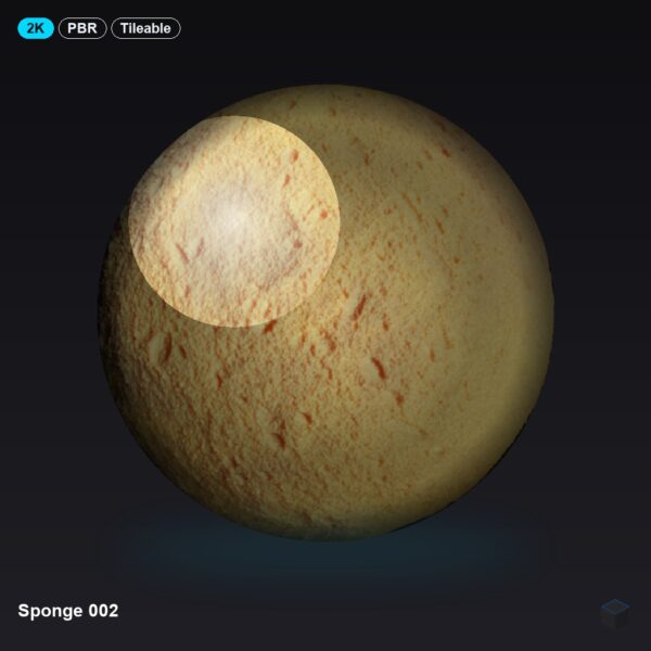 Sponge 002