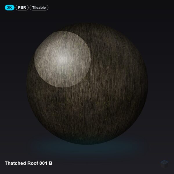 Thatched Roof 001 B