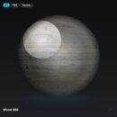 Wood 080