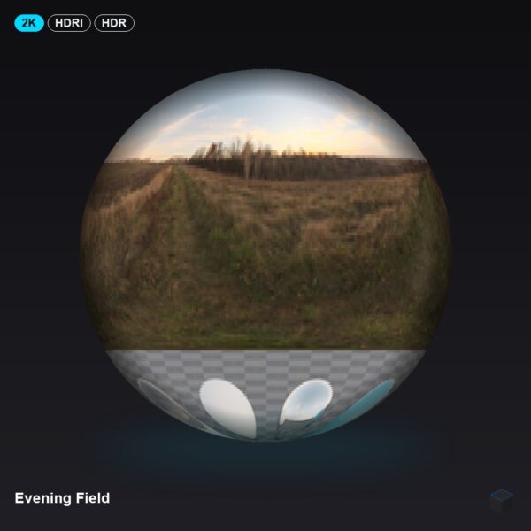 Evening Field