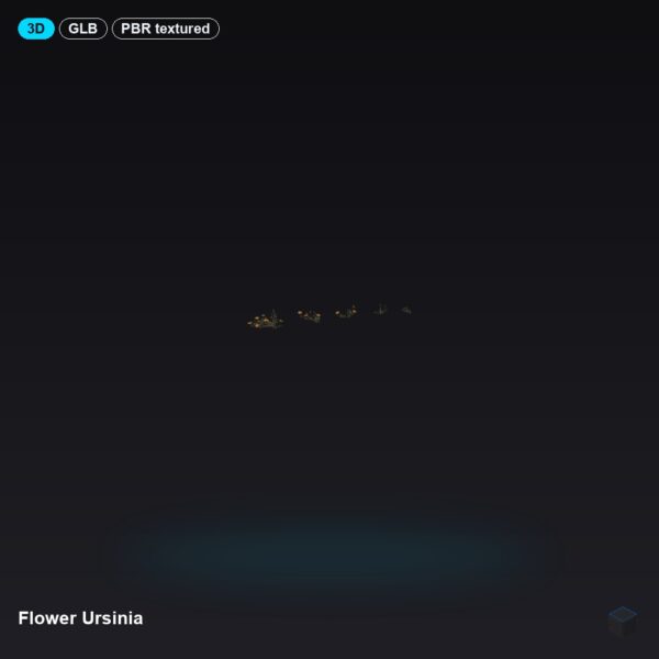 Flower Ursinia