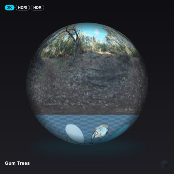 Gum Trees