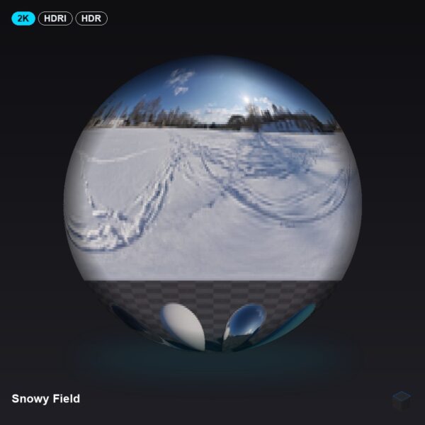 Snowy Field